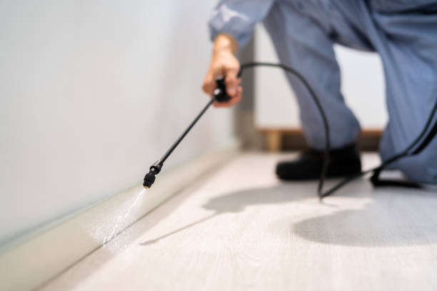 Licensed Ant Control service in Eustis, FL - Show Me Pest Control