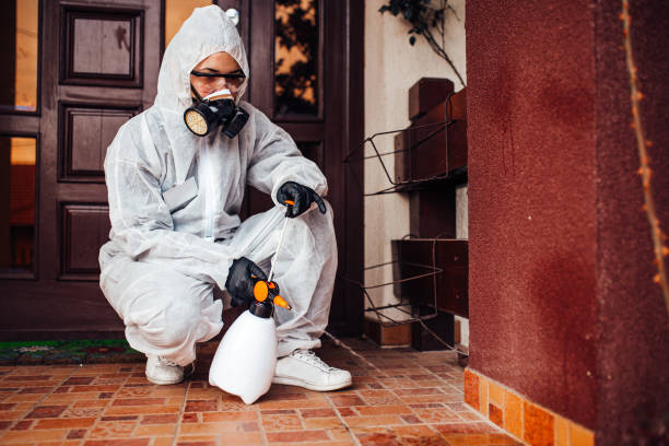Reliable Ant Control contractor in Eustis, FL by Show Me Pest Control